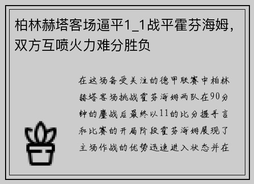 柏林赫塔客场逼平1_1战平霍芬海姆，双方互喷火力难分胜负