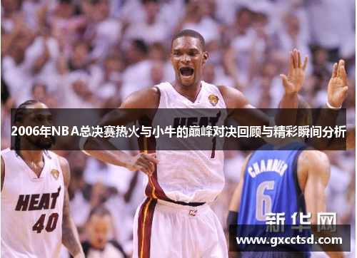 2006年NBA总决赛热火与小牛的巅峰对决回顾与精彩瞬间分析